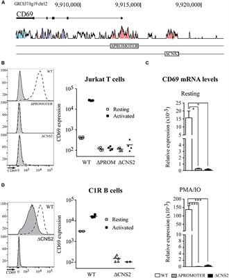 Functional Characterization of a Dual Enhancer/Promoter Regulatory Element Leading Human CD69 Expression